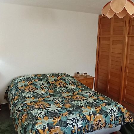 Le Ptit Crouzon Apartment Prades  Екстериор снимка