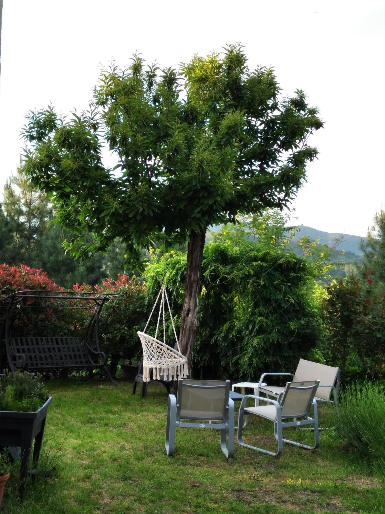Le Ptit Crouzon Apartment Prades  Екстериор снимка