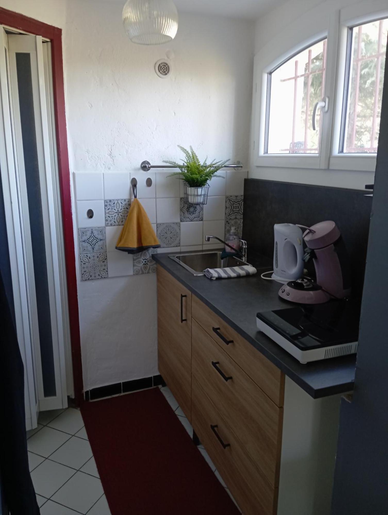 Le Ptit Crouzon Apartment Prades  Екстериор снимка